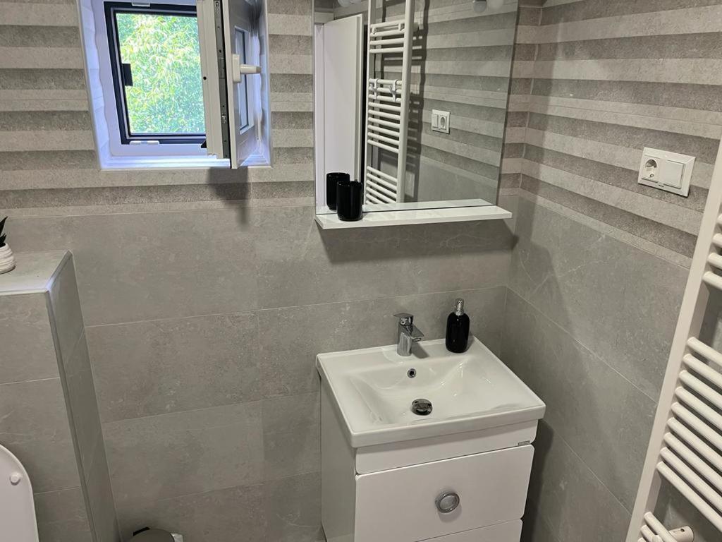 Sabina Apartaments Sfântu-Gheorghe Esterno foto