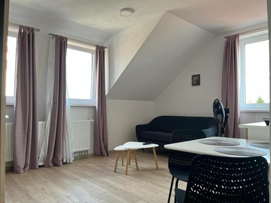 Sabina Apartaments Sfântu-Gheorghe Esterno foto