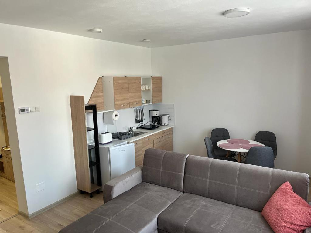 Sabina Apartaments Sfântu-Gheorghe Esterno foto