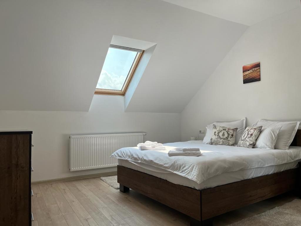 Sabina Apartaments Sfântu-Gheorghe Esterno foto
