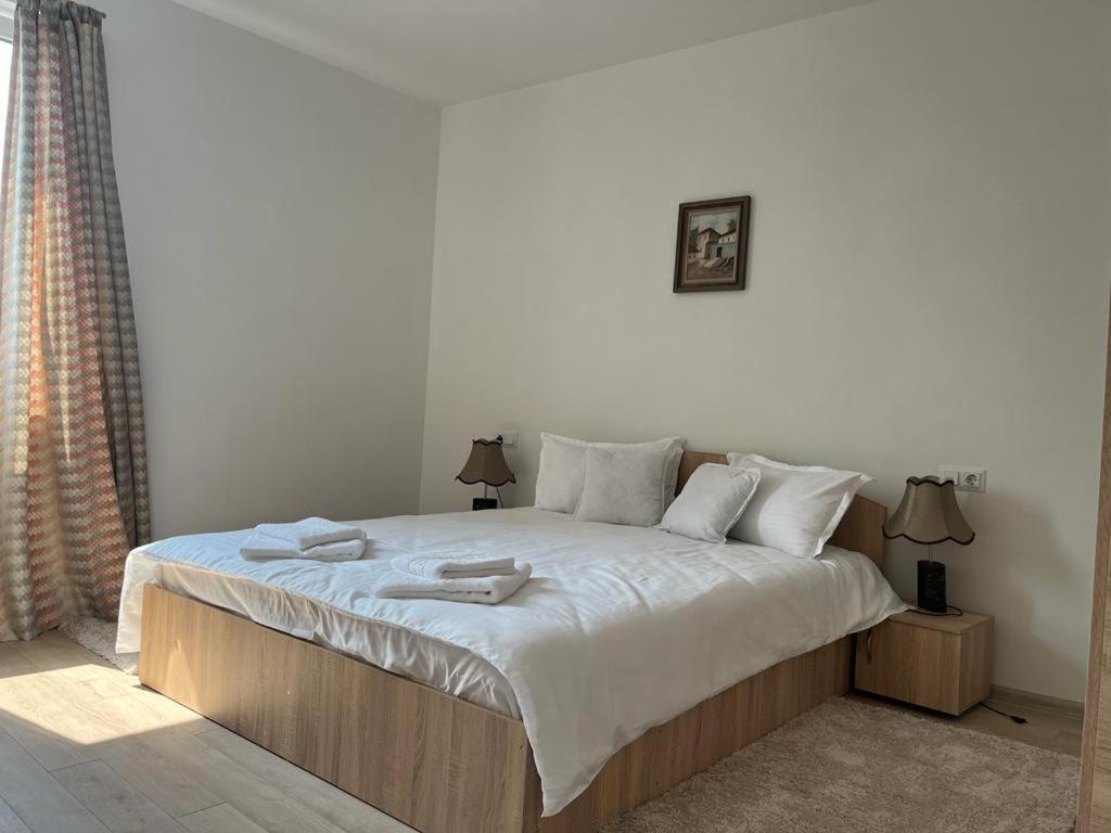 Sabina Apartaments Sfântu-Gheorghe Esterno foto