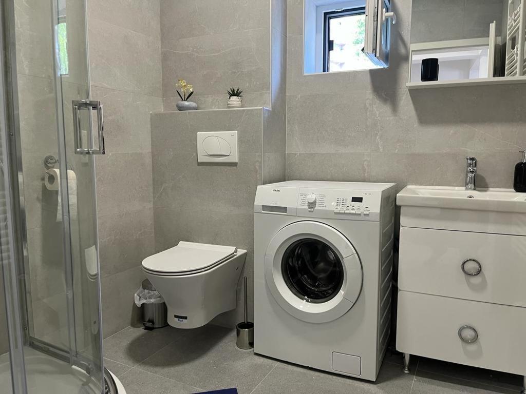 Sabina Apartaments Sfântu-Gheorghe Esterno foto