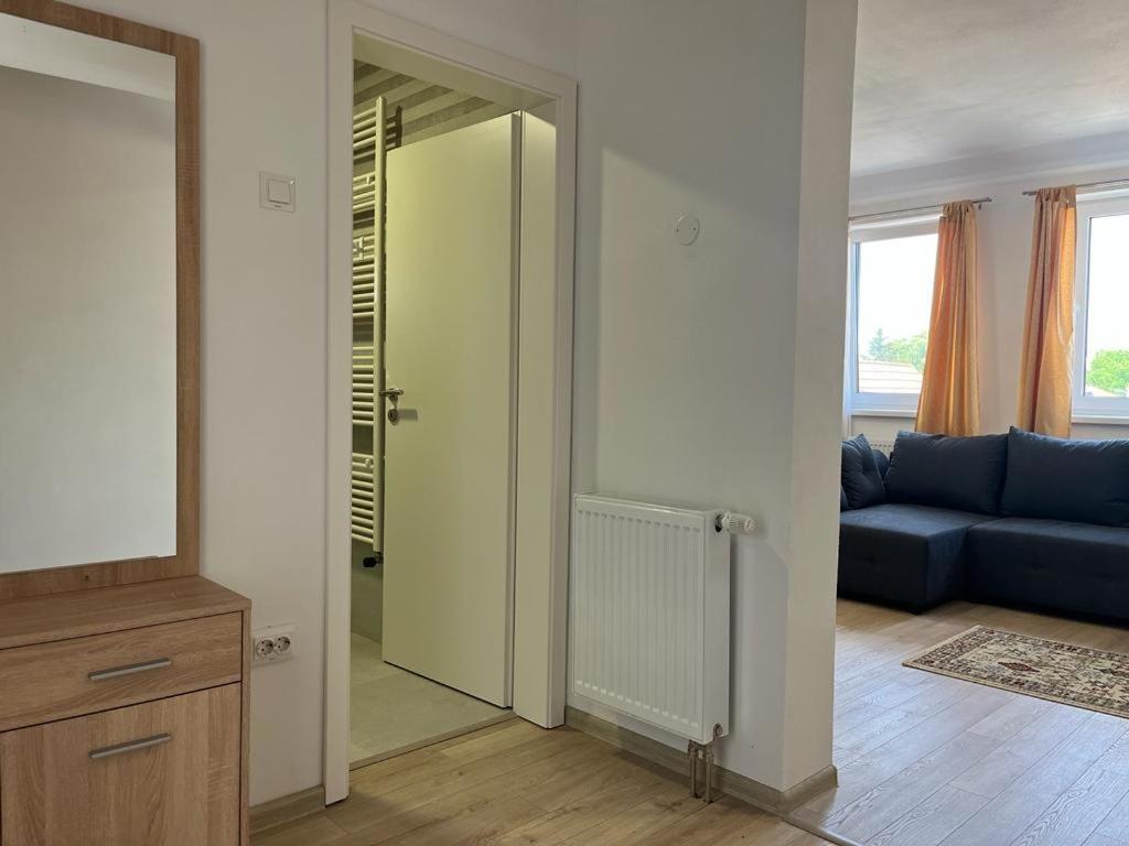 Sabina Apartaments Sfântu-Gheorghe Esterno foto