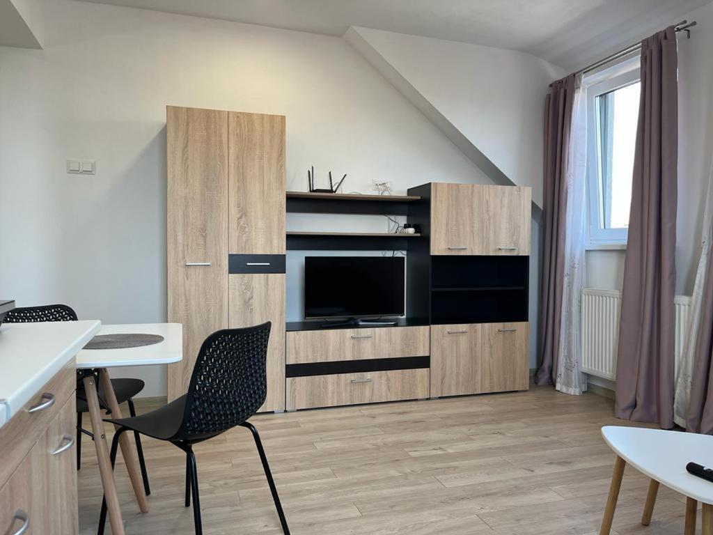 Sabina Apartaments Sfântu-Gheorghe Esterno foto
