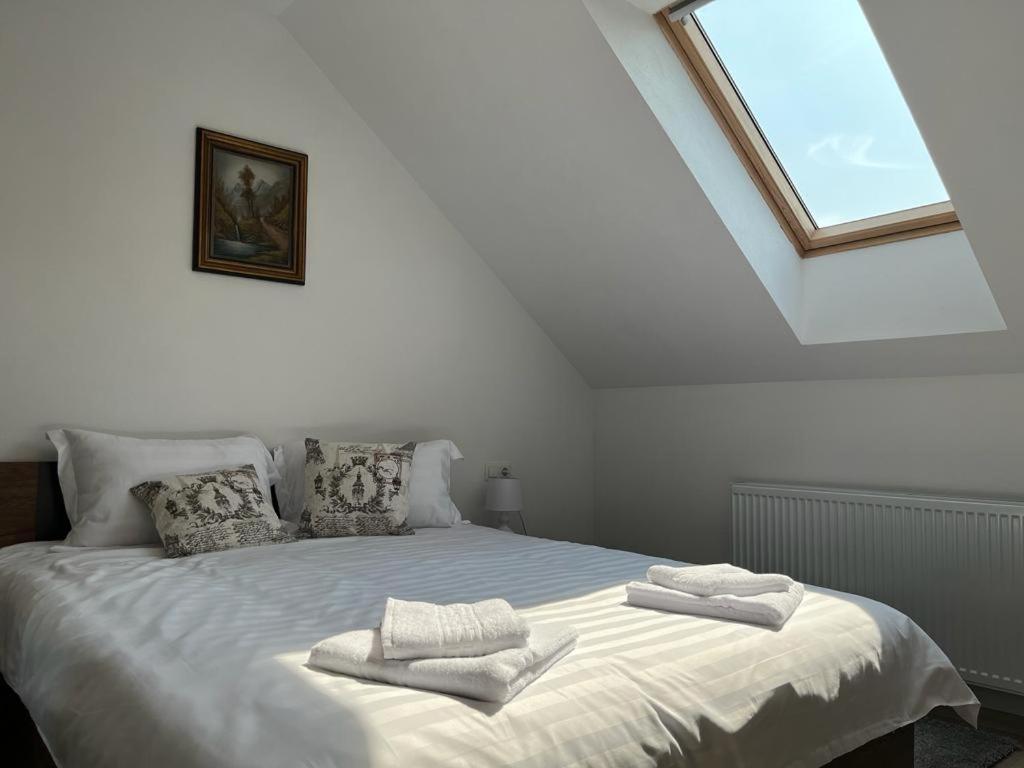 Sabina Apartaments Sfântu-Gheorghe Esterno foto