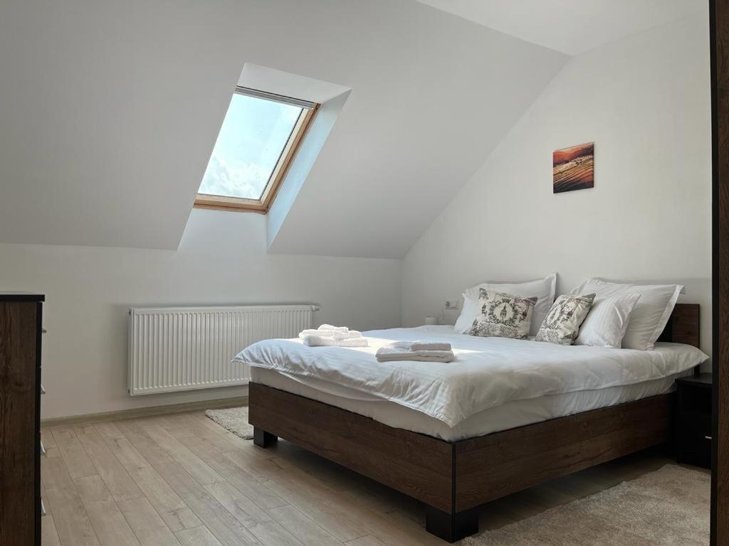 Sabina Apartaments Sfântu-Gheorghe Esterno foto