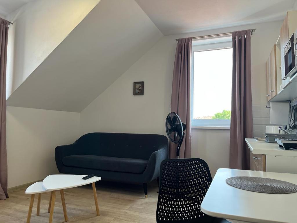 Sabina Apartaments Sfântu-Gheorghe Esterno foto