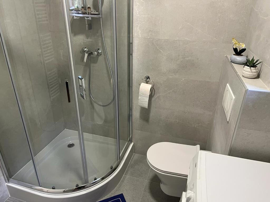 Sabina Apartaments Sfântu-Gheorghe Esterno foto