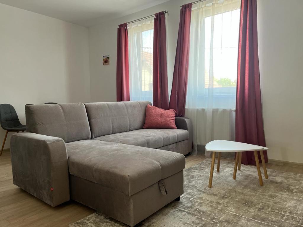 Sabina Apartaments Sfântu-Gheorghe Esterno foto