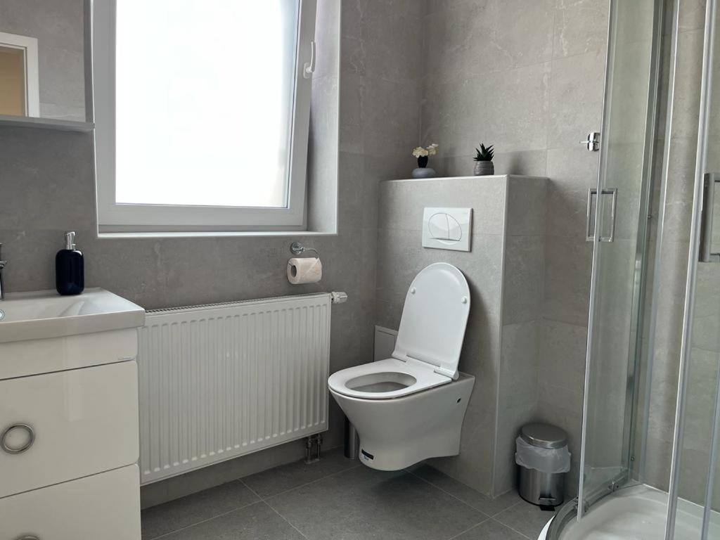 Sabina Apartaments Sfântu-Gheorghe Esterno foto