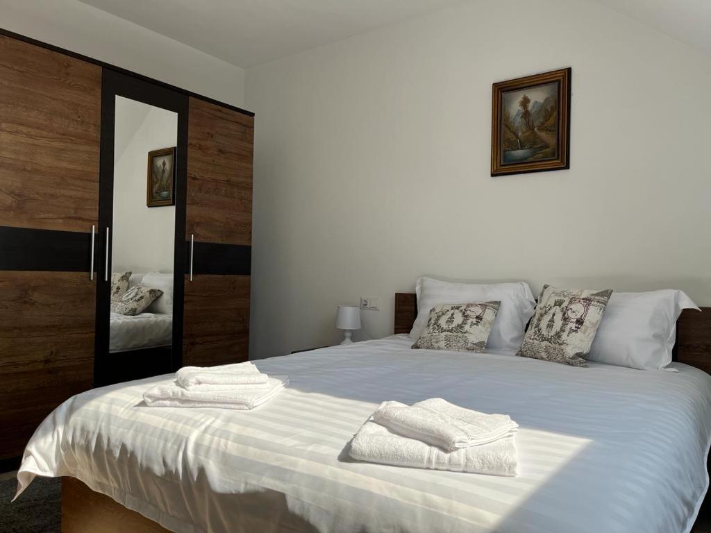 Sabina Apartaments Sfântu-Gheorghe Esterno foto